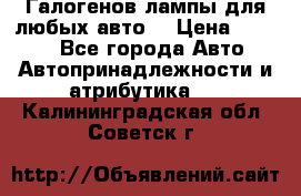 Галогенов лампы для любых авто. › Цена ­ 3 000 - Все города Авто » Автопринадлежности и атрибутика   . Калининградская обл.,Советск г.